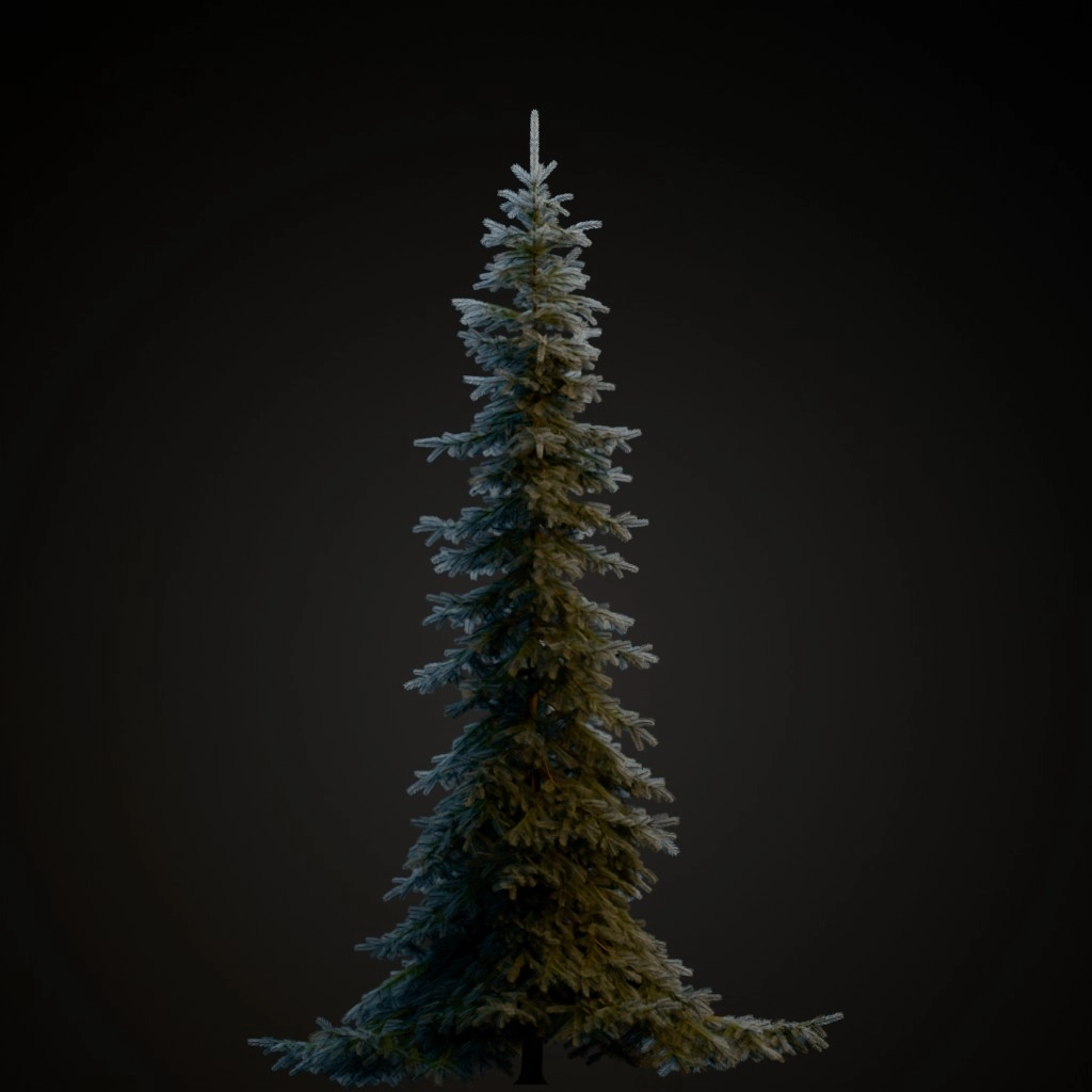 Koster Blue Spruce