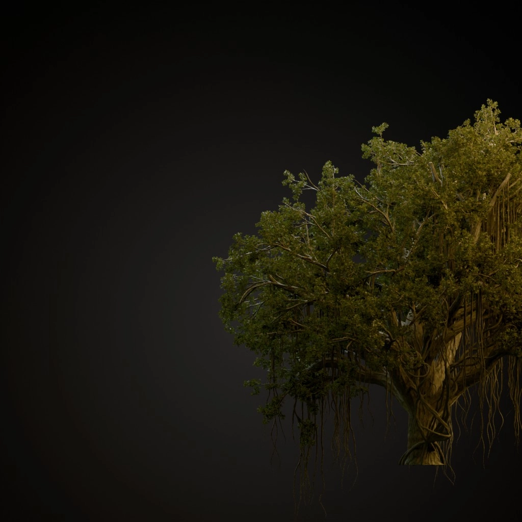 Chinese Banyan