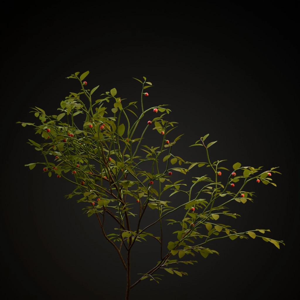 Bilberry