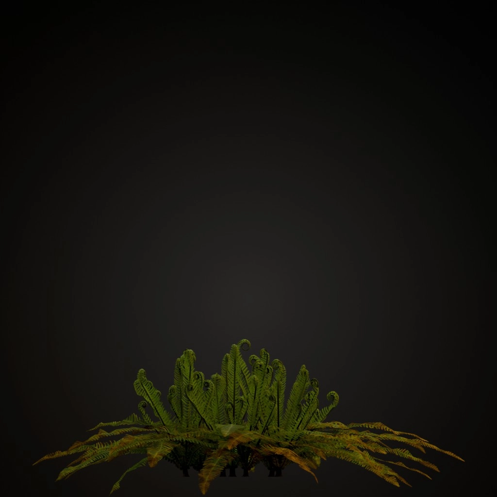 Hard Fern