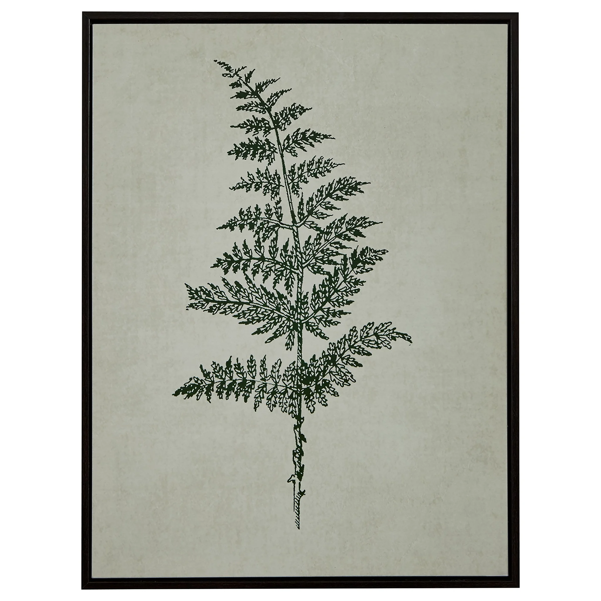Framed Botanical Fern Print Wall Art
