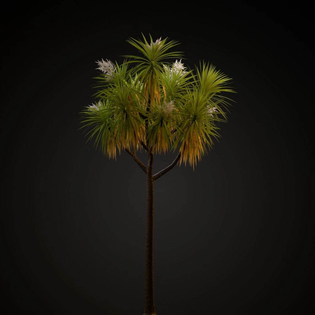 Cabbage Tree