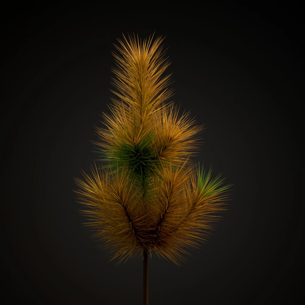 Ponderosa Pine V2