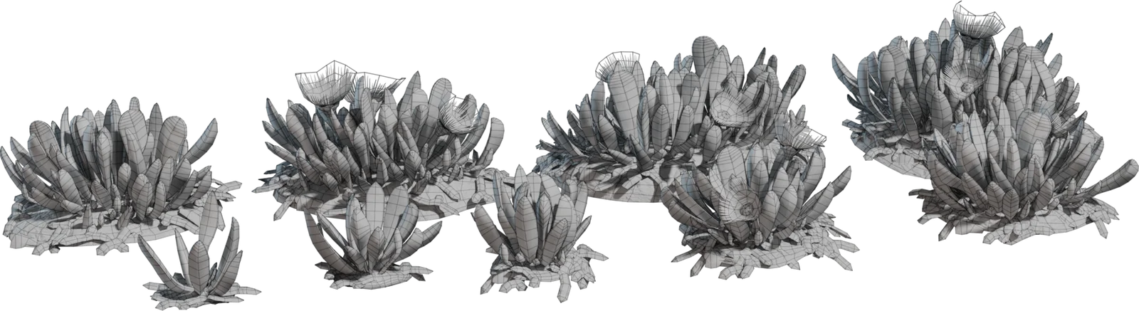Cheiridopsis Succulent Plant Collection with Blooms, 3D model preview 1