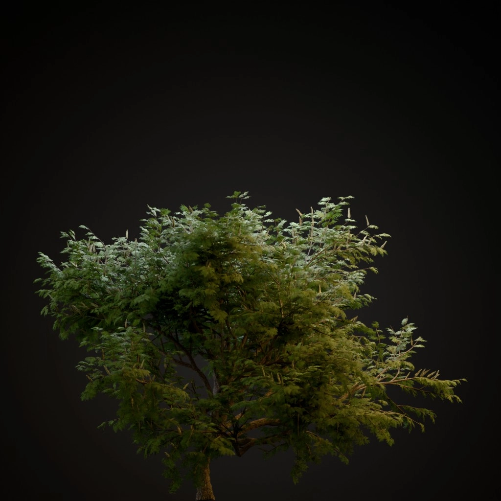 Hook Thorn