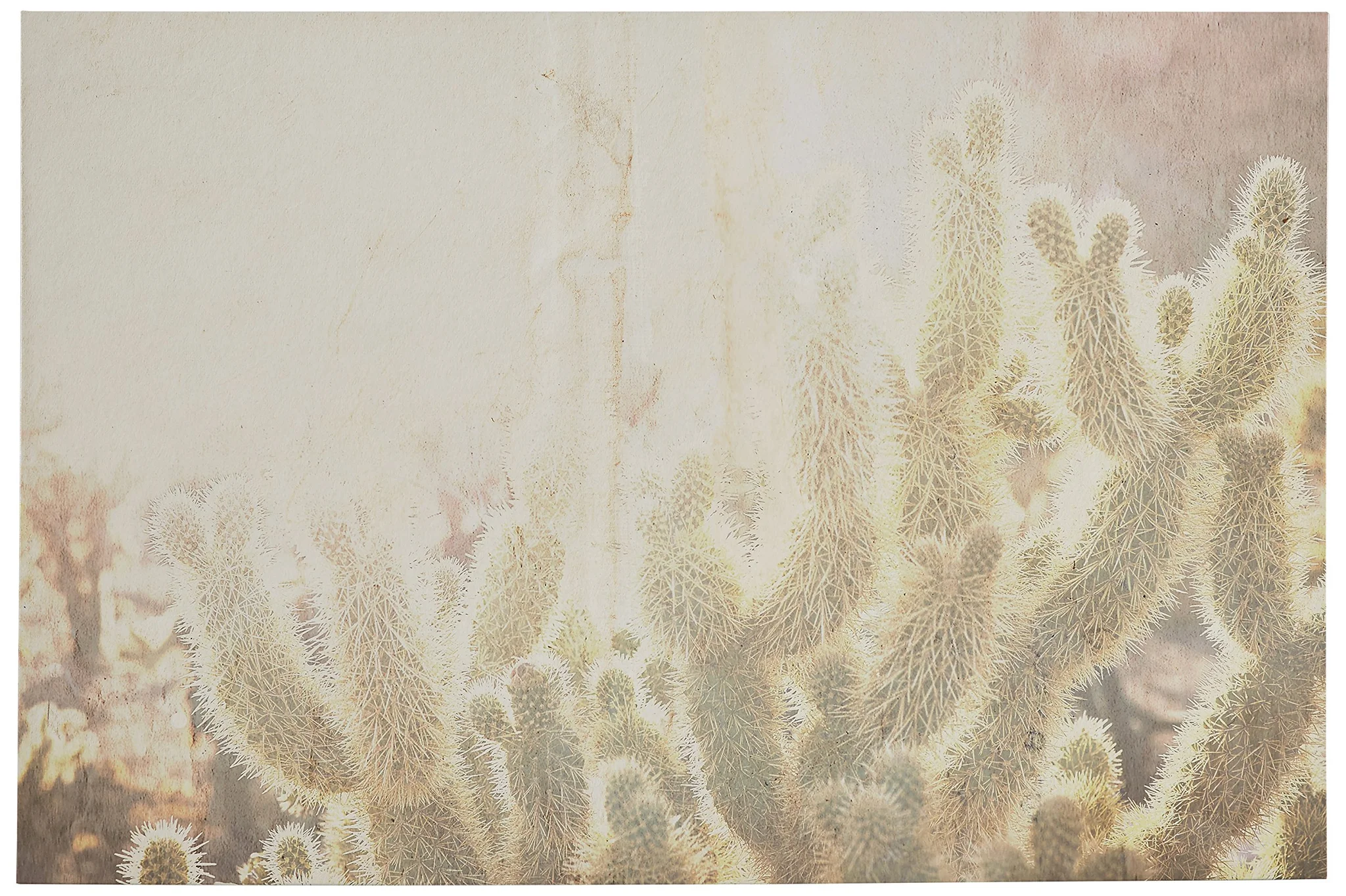 Desert Cactus Canvas Wall Art Print