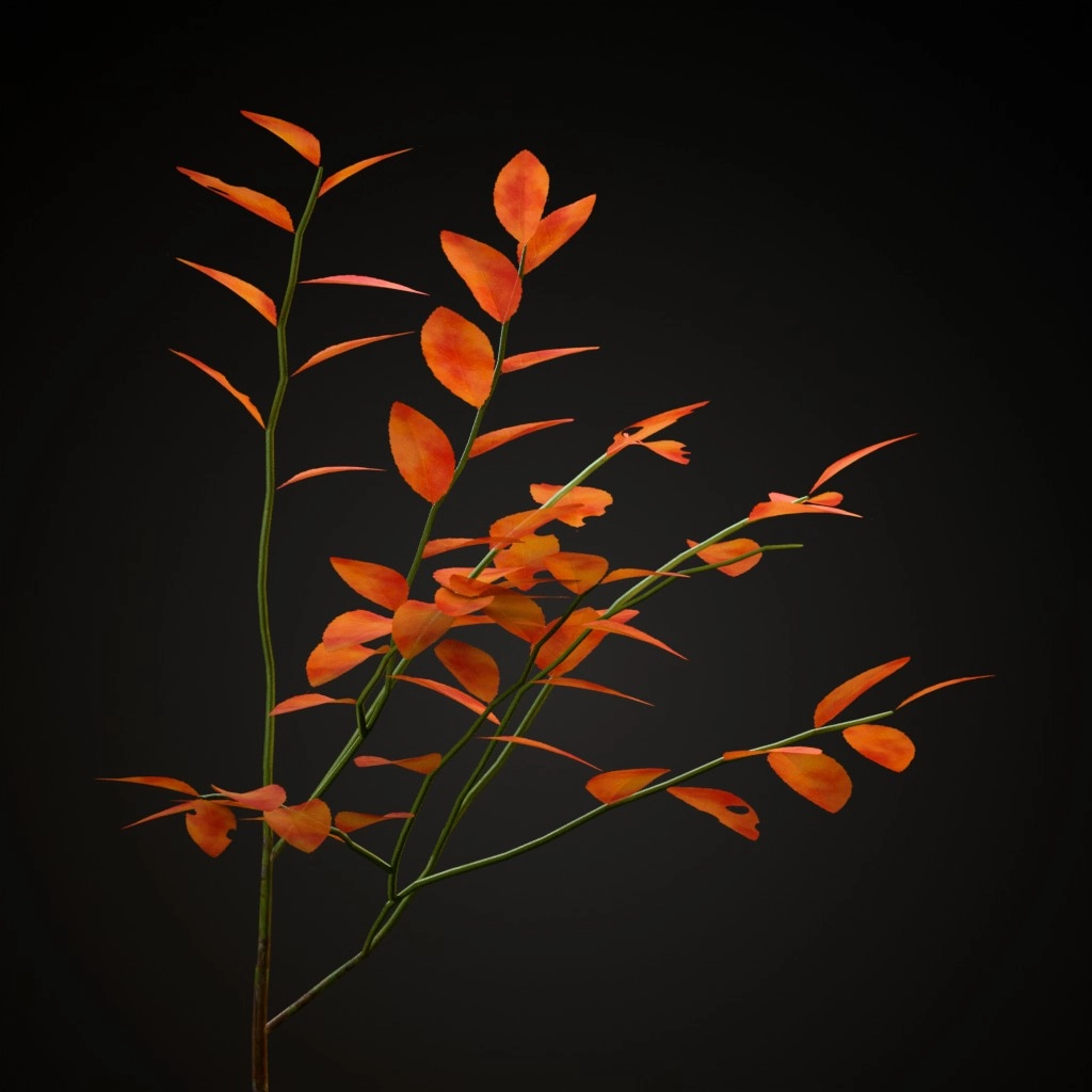 Bilberry