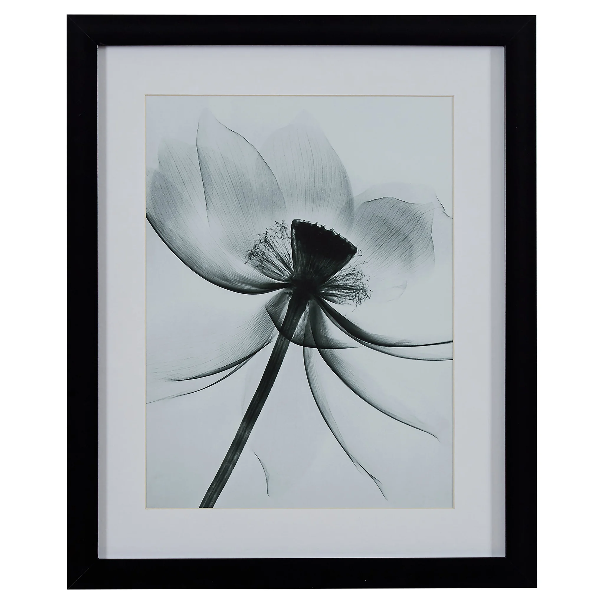 Framed Flower X-Ray Art Print – Black Frame Wall Decor