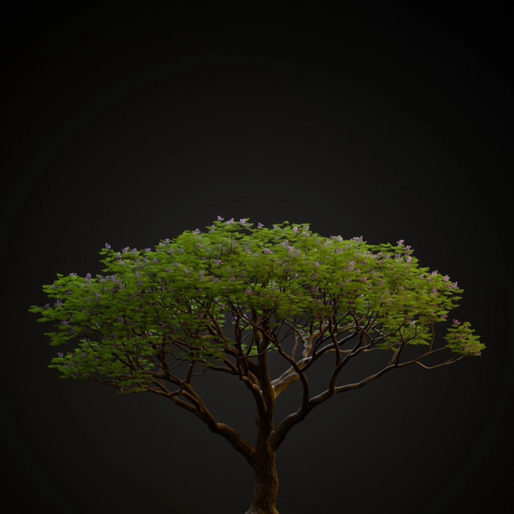 Chinaberry