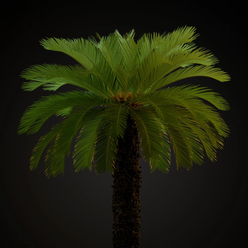 Sago Palm V2