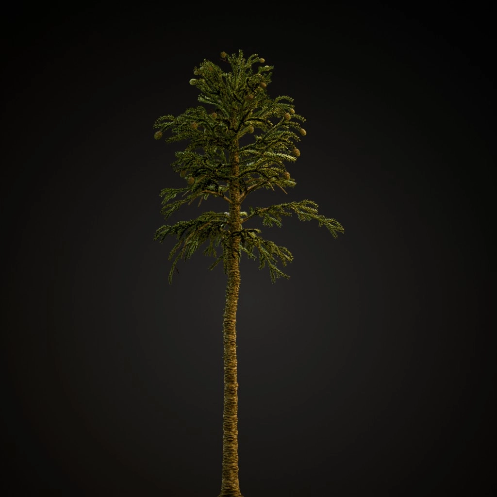 Monkey Puzzle