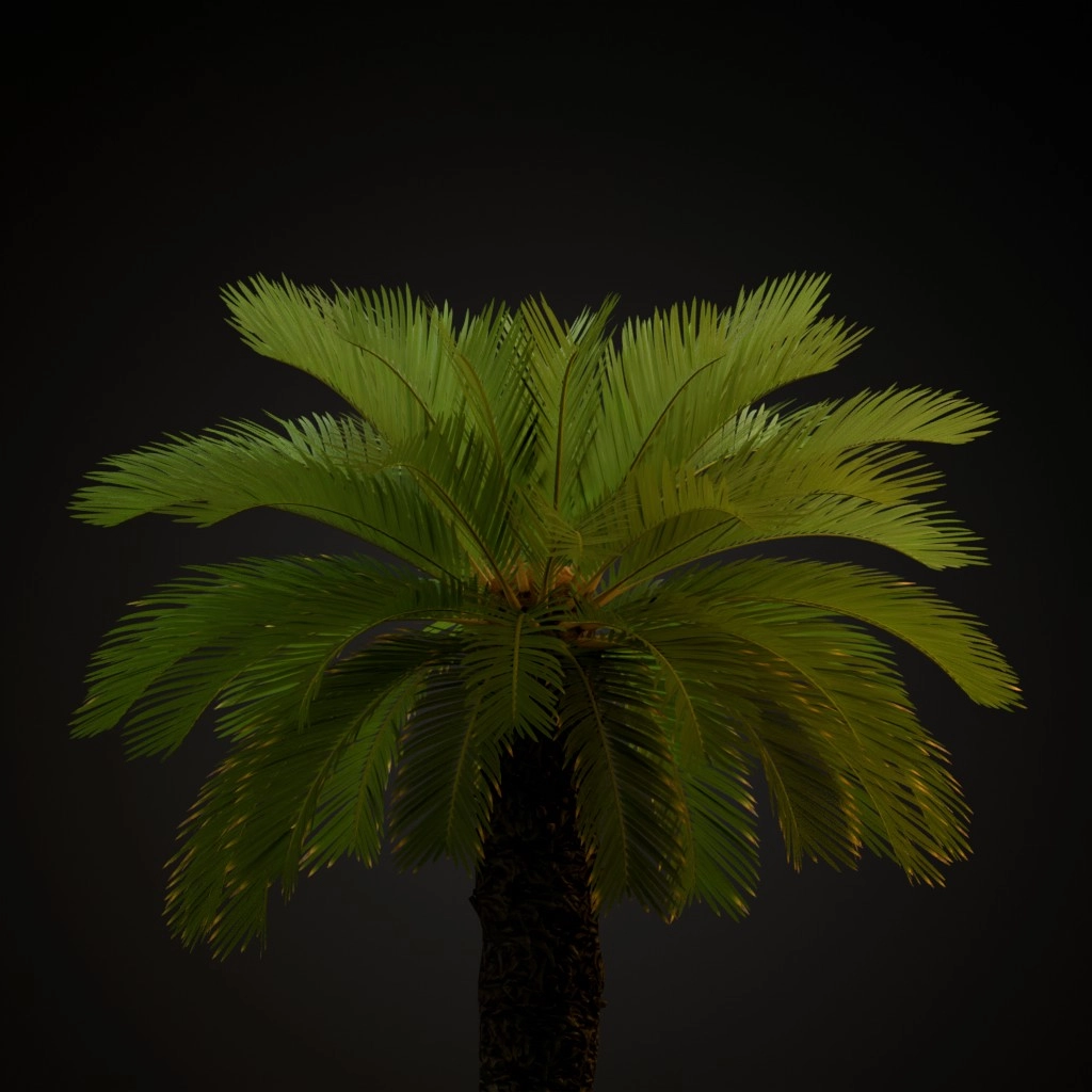 Sago Palm V2