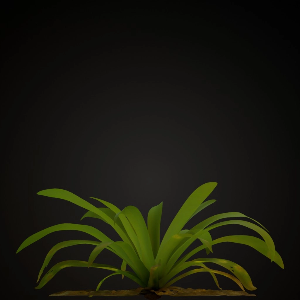 Yellow Guzmania