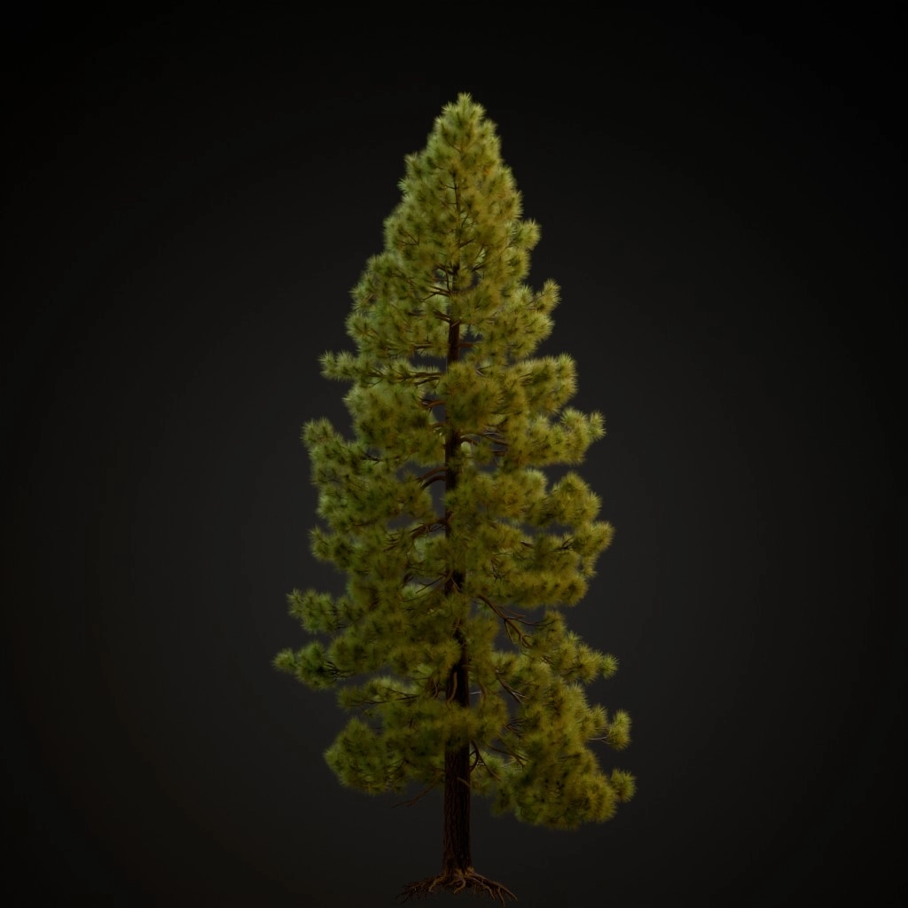 Jeffrey Pine V3