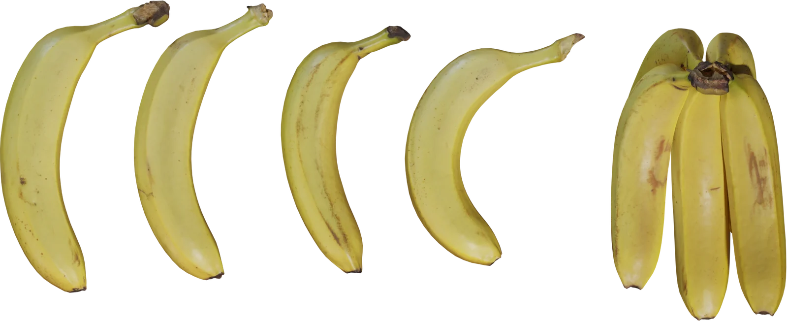 Realistic Banana Collection with 4K Textures — 3D model preview 4