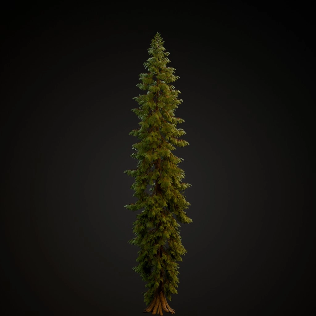 Western Red Cedar V2