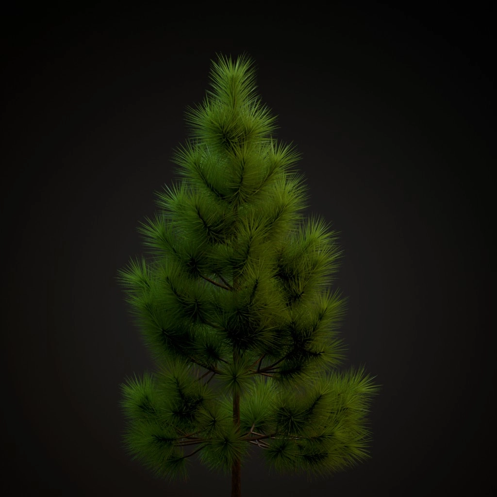 Ponderosa Pine V2