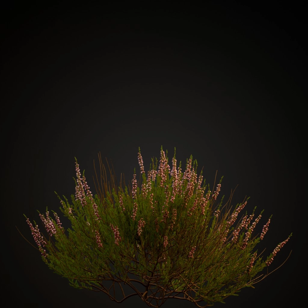 Heather Light Pink