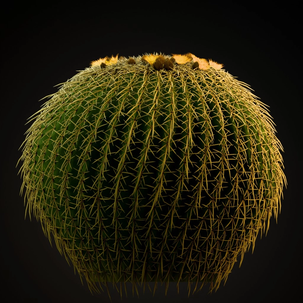Golden Barrel Cactus