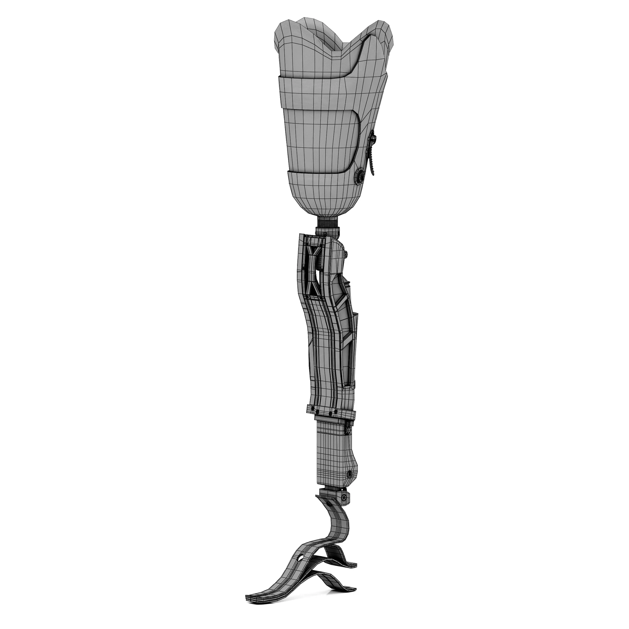 Prosthesis — 3D model preview 8