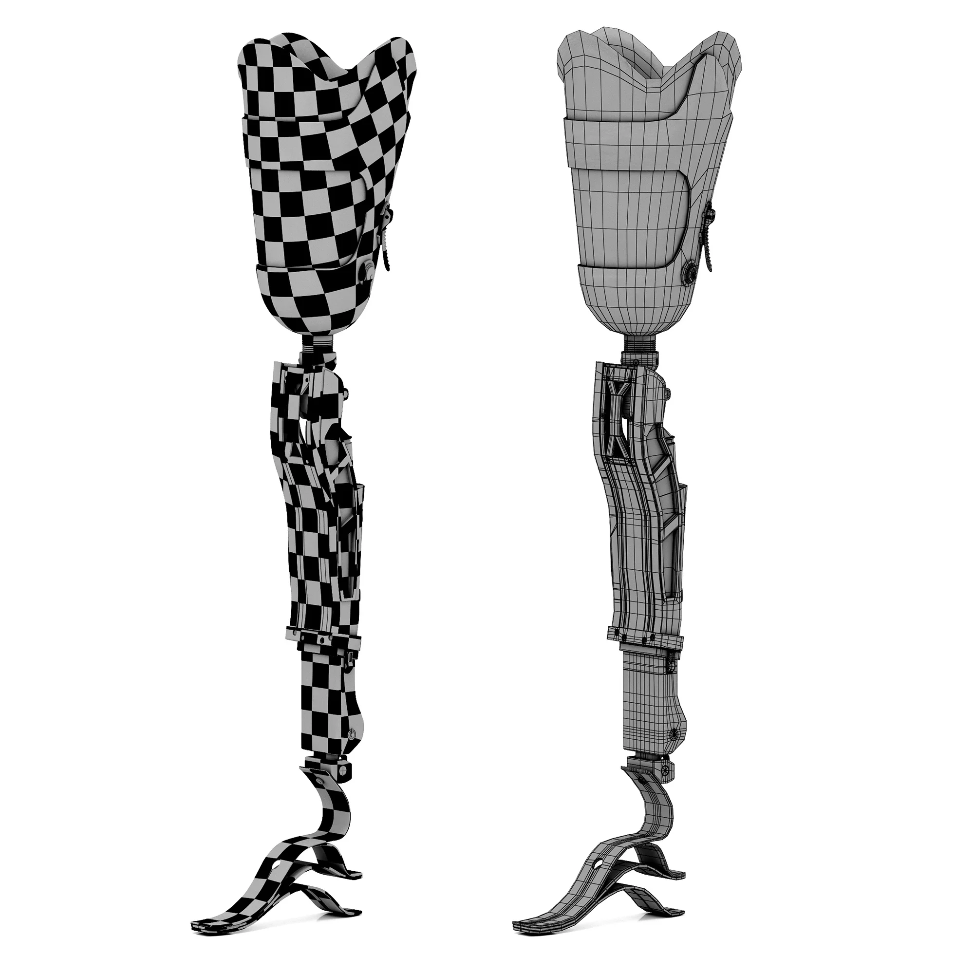 Prosthesis — 3D model preview 10