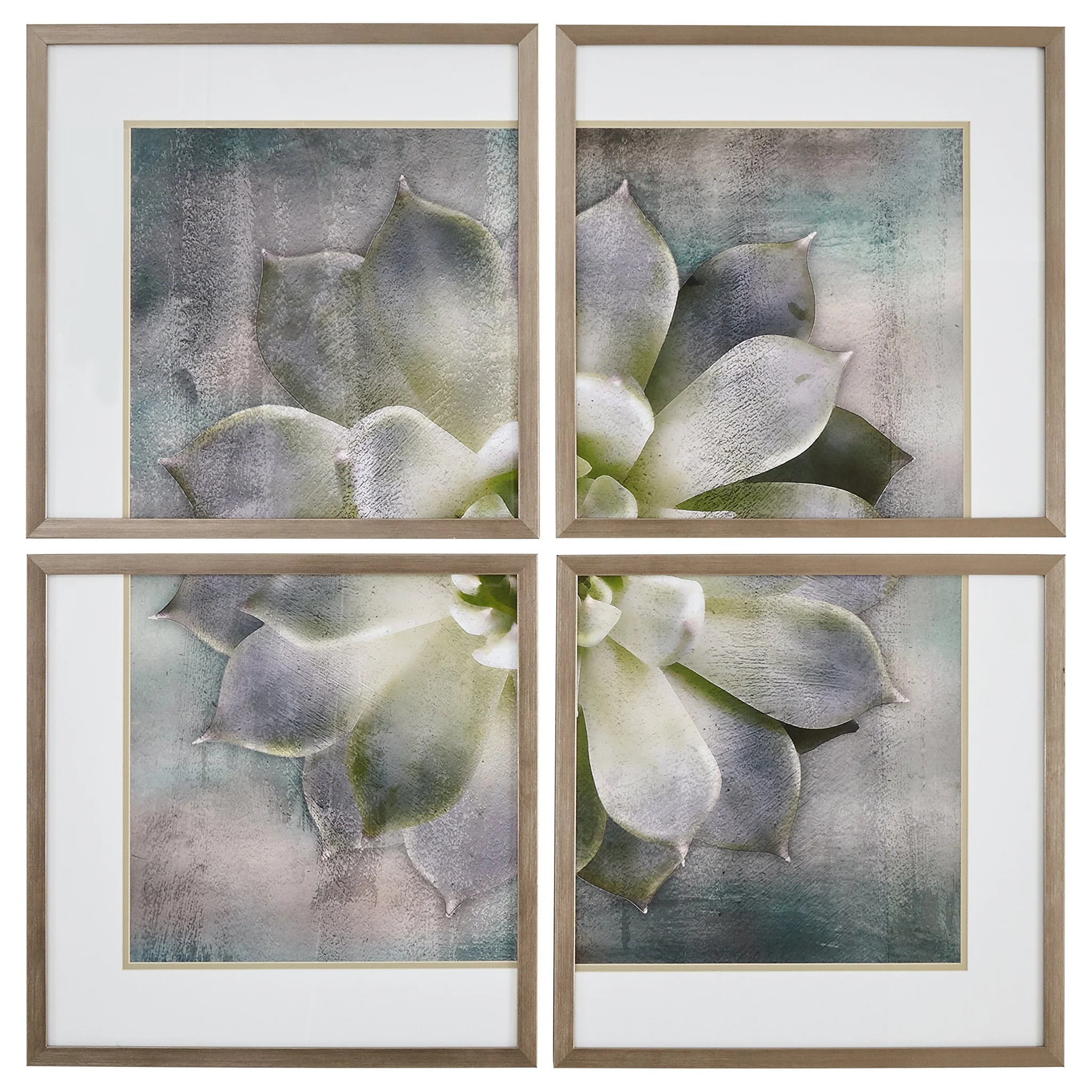 Framed Succulent Print Wall Art Set of 4