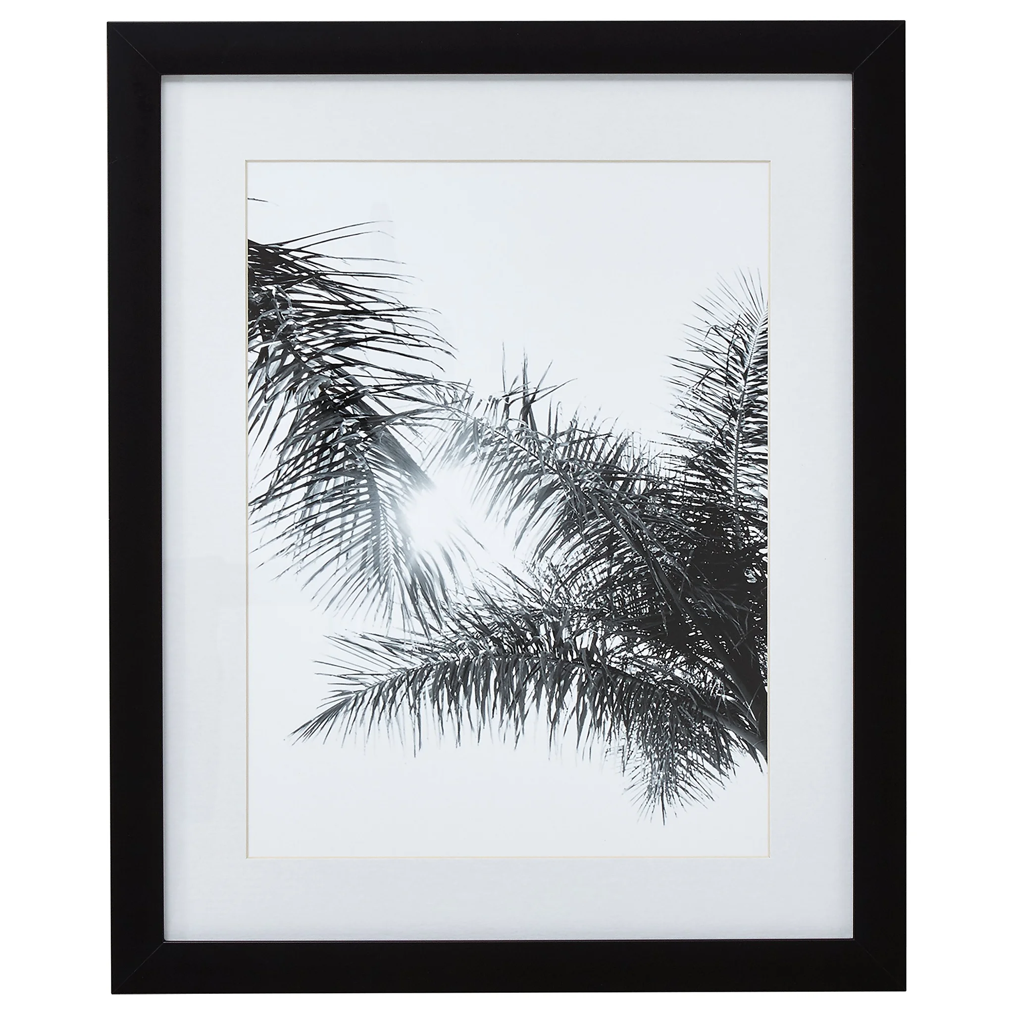 Black Frame Tropical Palm Branches Wall Art Print