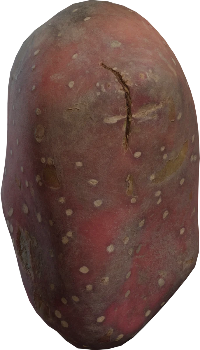Sweet Potato 4K