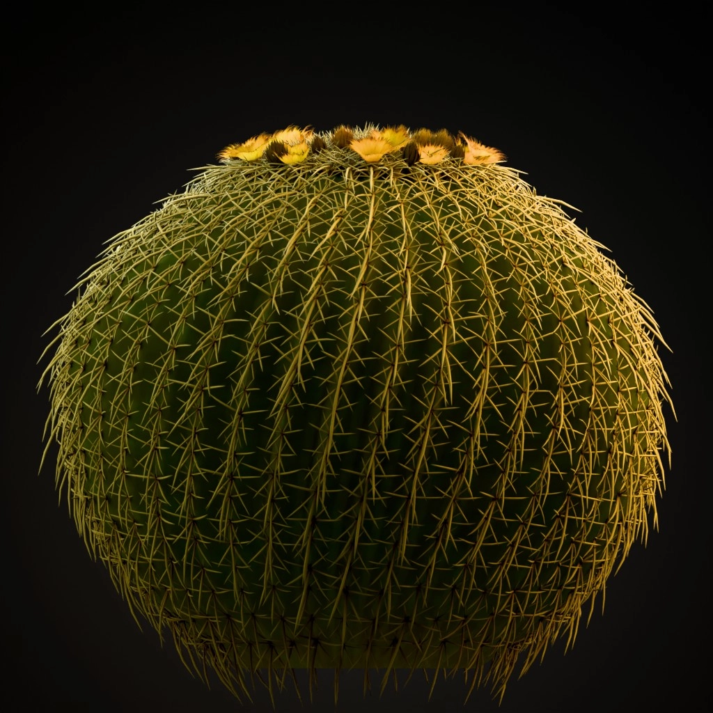 Golden Barrel Cactus
