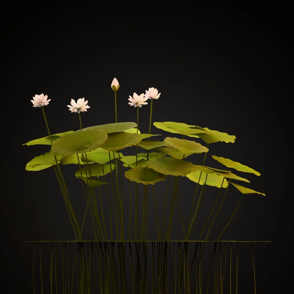 Sacred Lotus