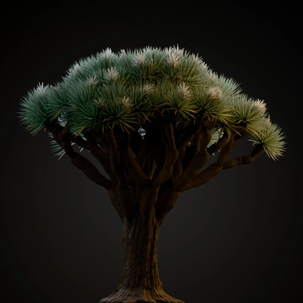 Dragon Tree