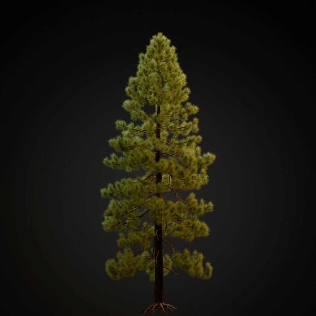 Jeffrey Pine V3
