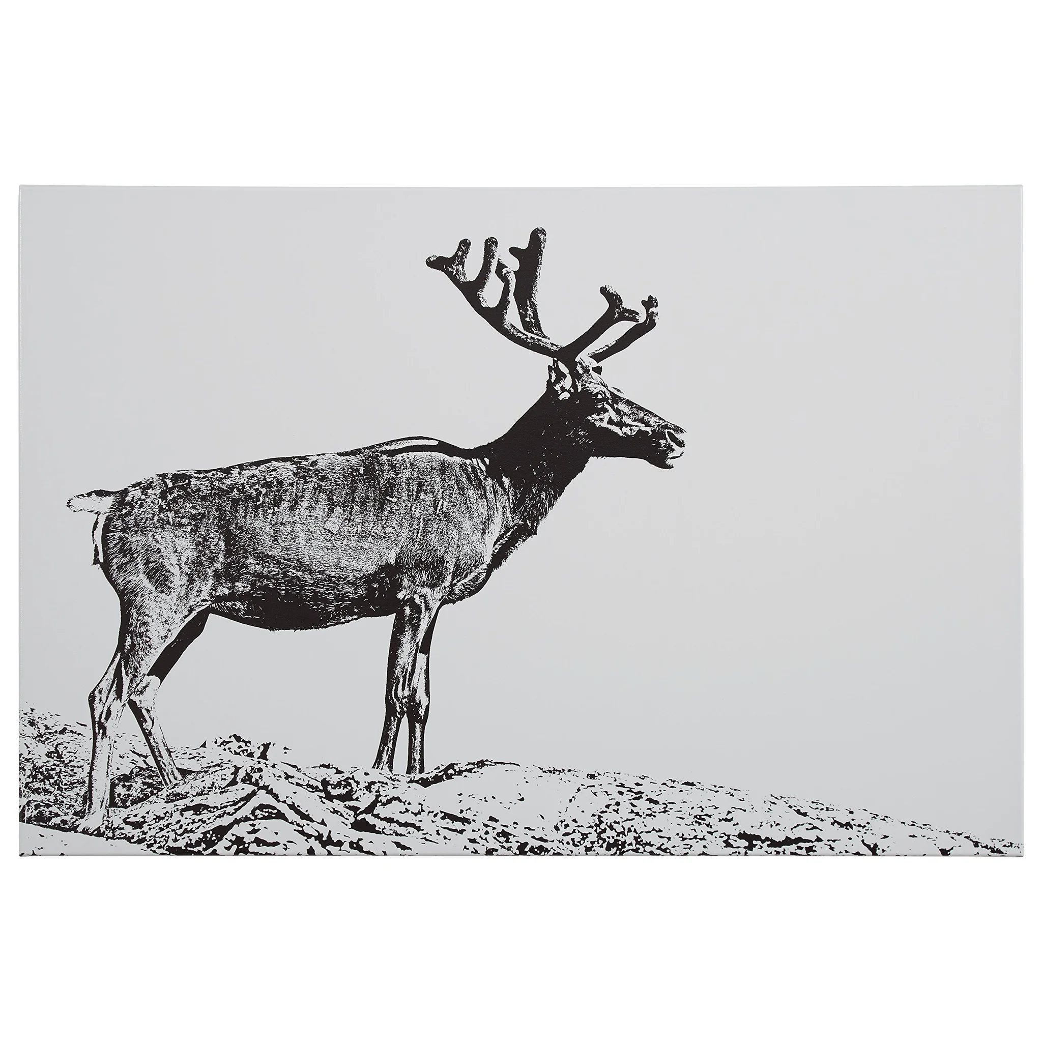 Black and White Reindeer Canvas Wall Art Print