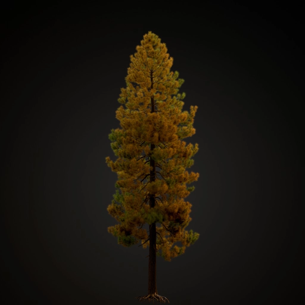 Ponderosa Pine V3