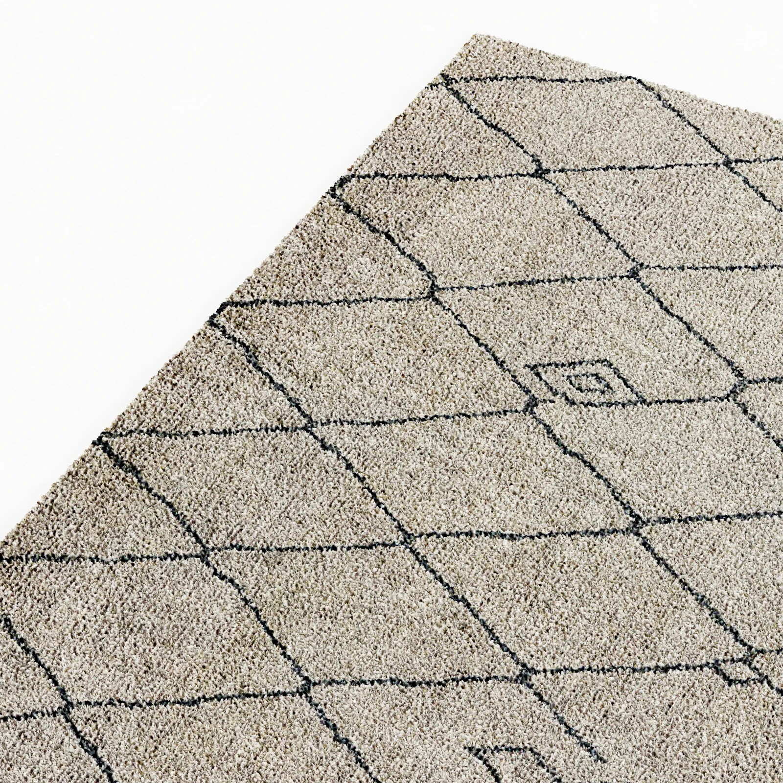 Restoration Hardware Rug — 3D model preview 5