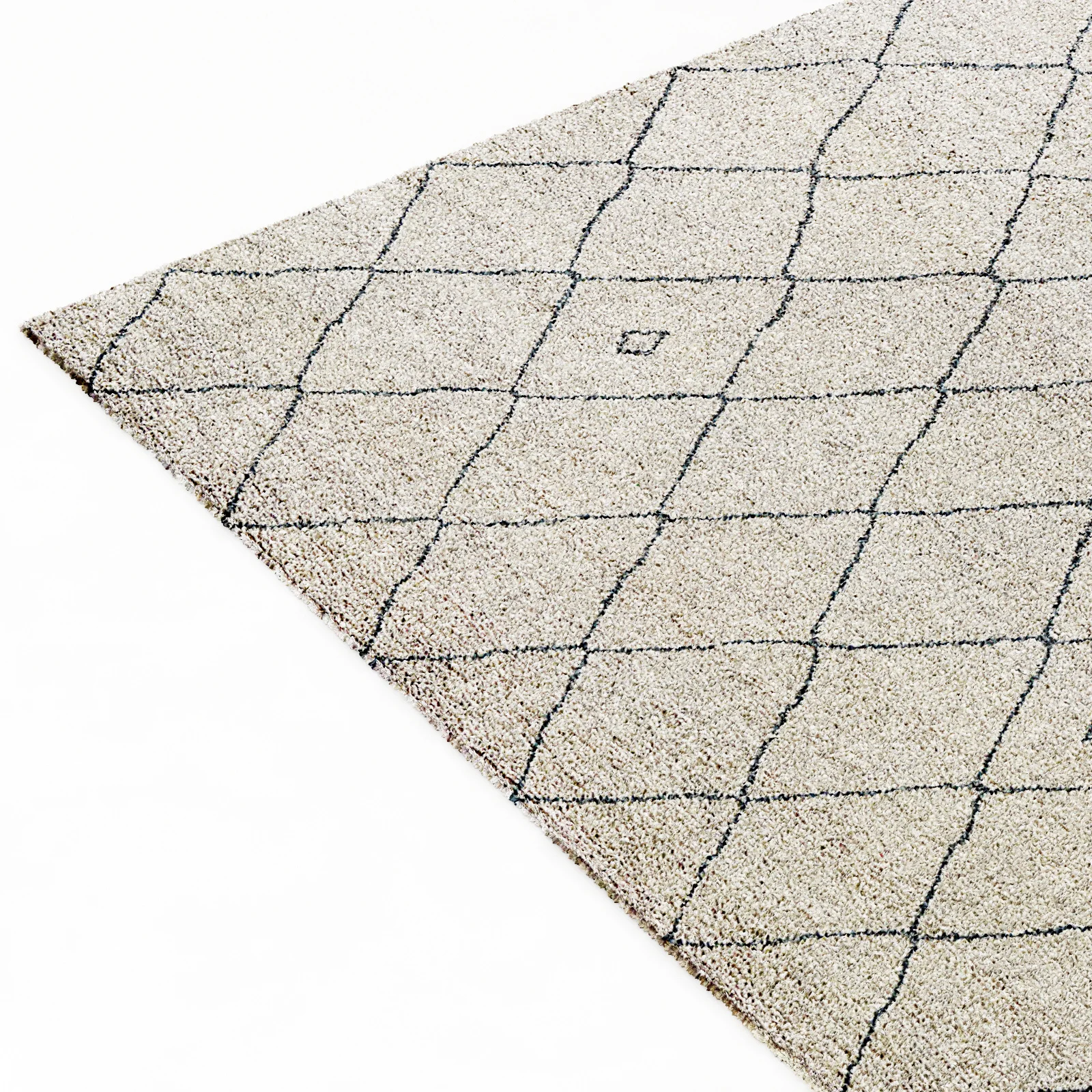Restoration Hardware Rug — 3D model preview 9