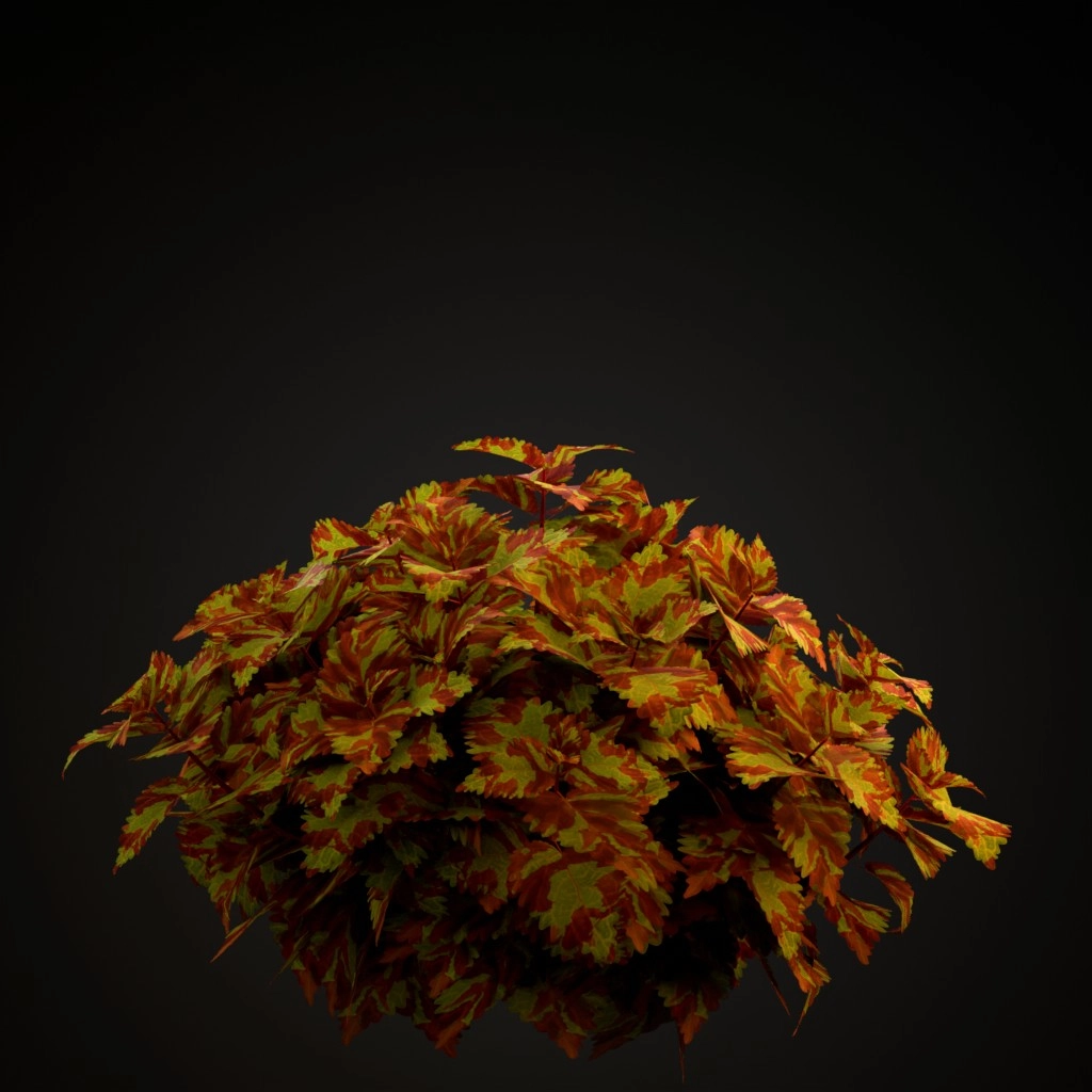 Fairway Mosaic Coleus