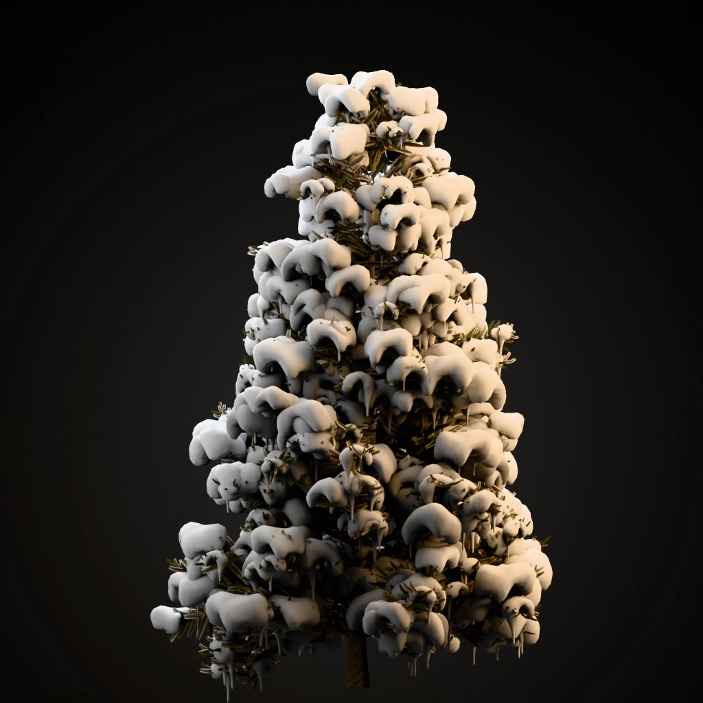 Fraser Fir