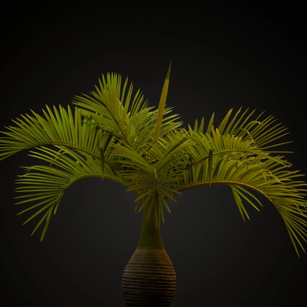 Bottle Palm