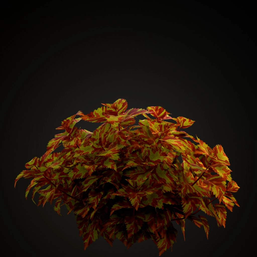 Fairway Mosaic Coleus