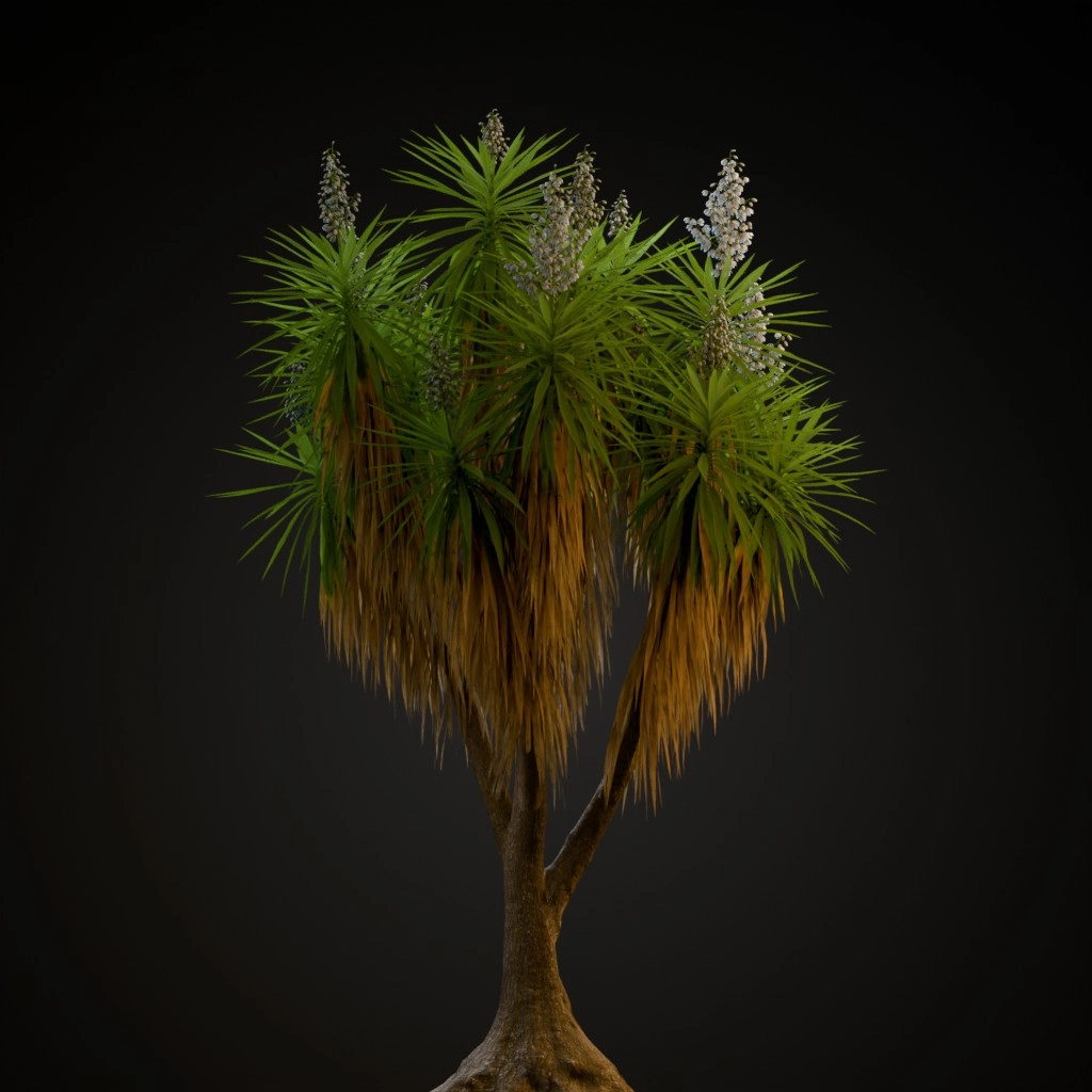 Spineless Yucca