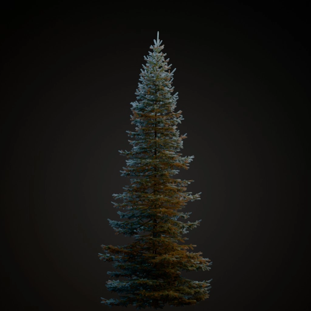 Blue Spruce V2