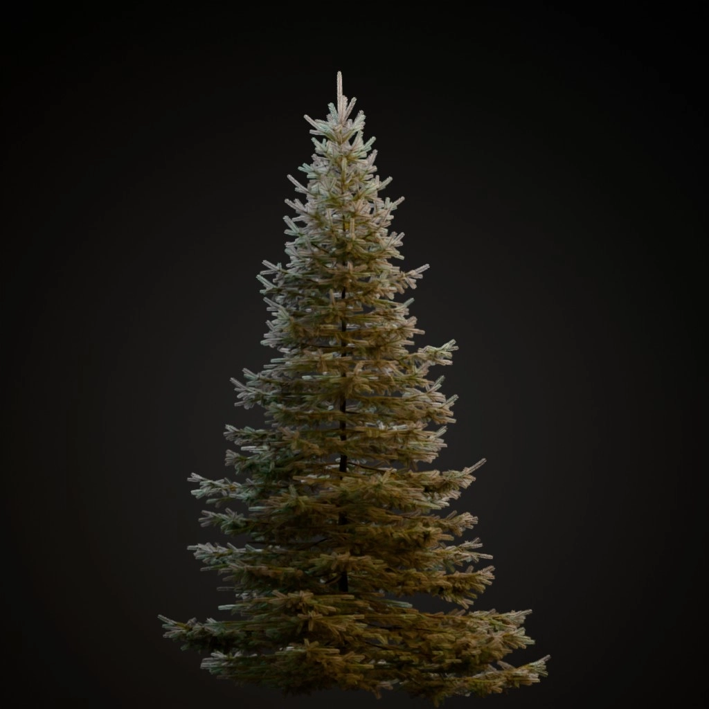 Blue Spruce V2