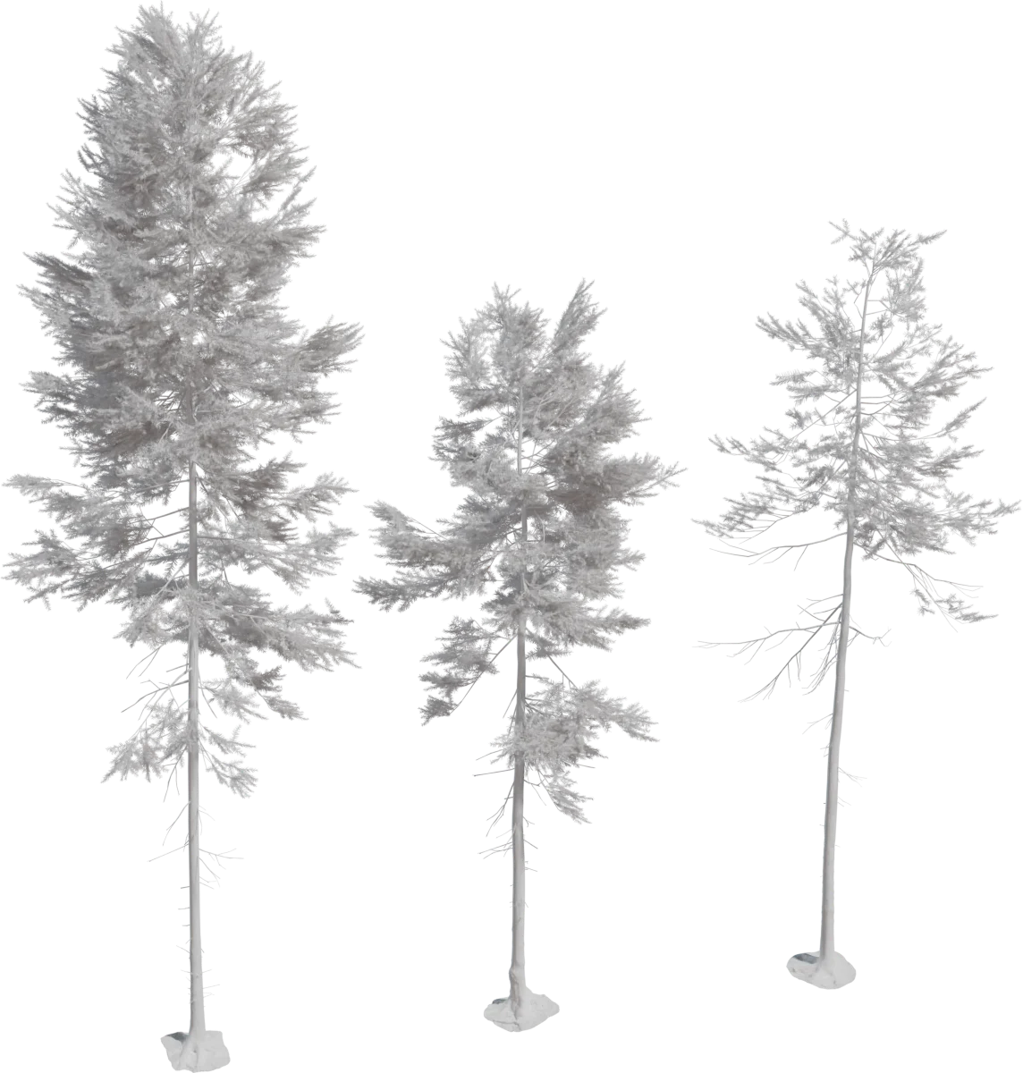 Realistic Fir Tree Pack – 3 Size Variants, 3D model preview 1