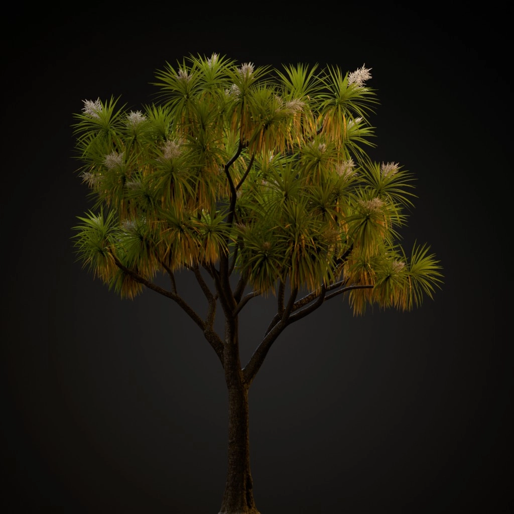 Cabbage Tree
