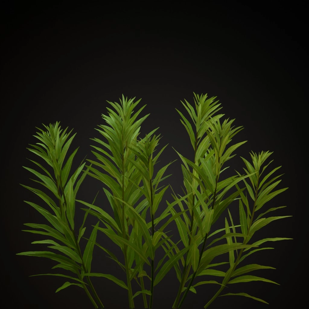 Fireweed