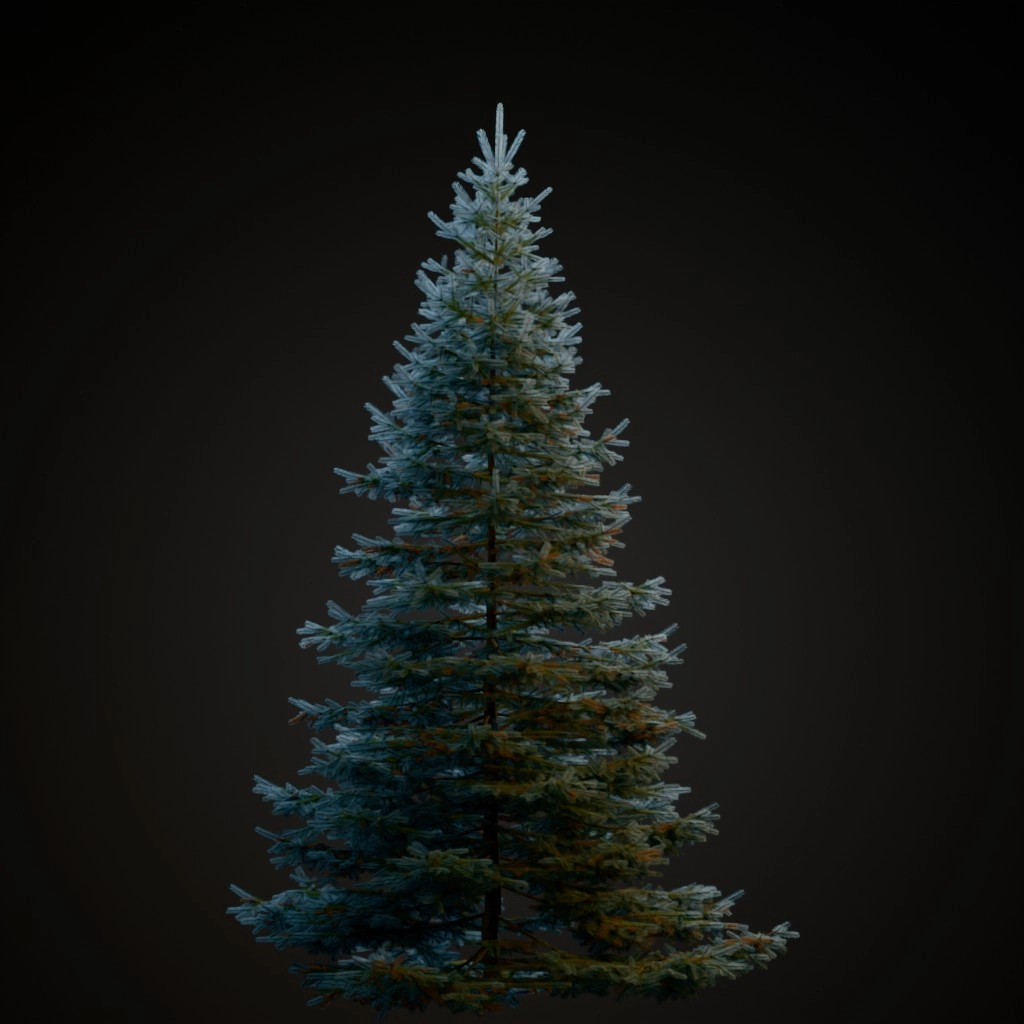 Blue Spruce V2