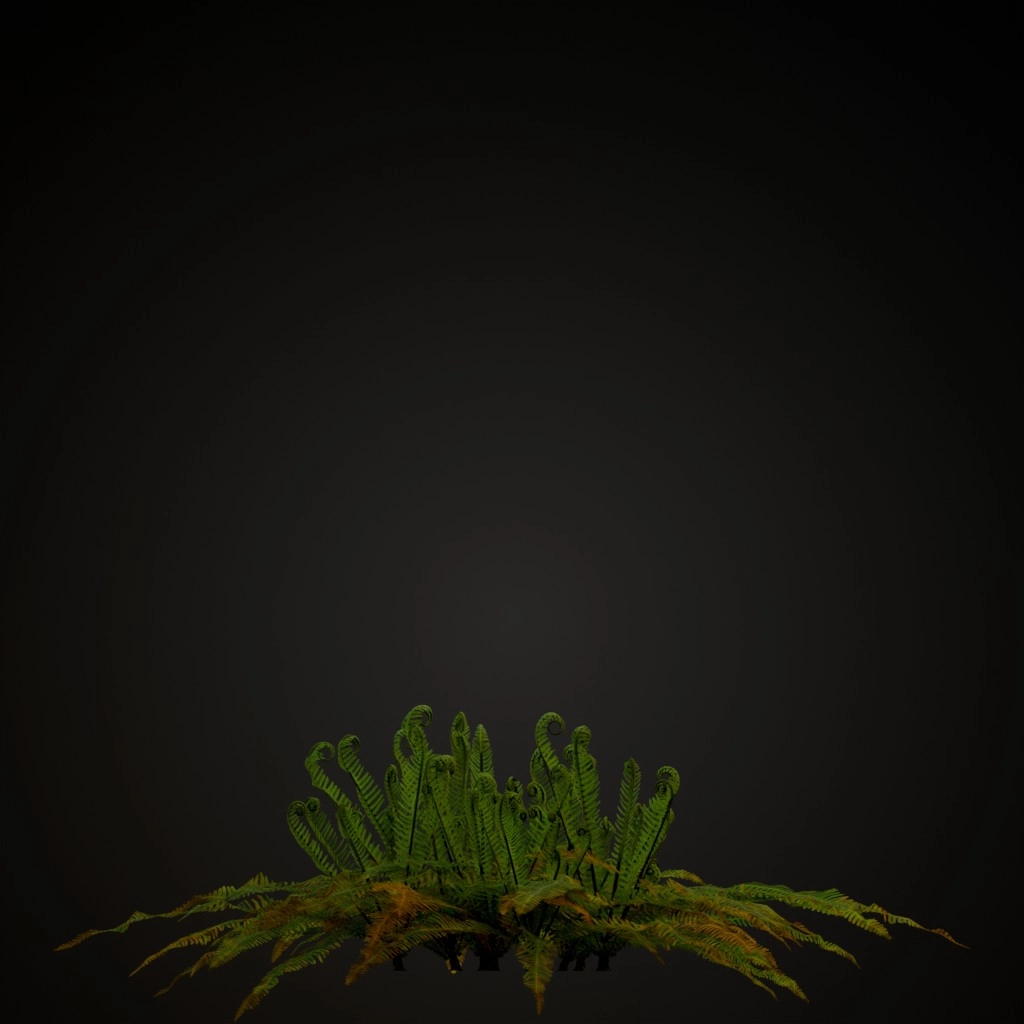 Hard Fern