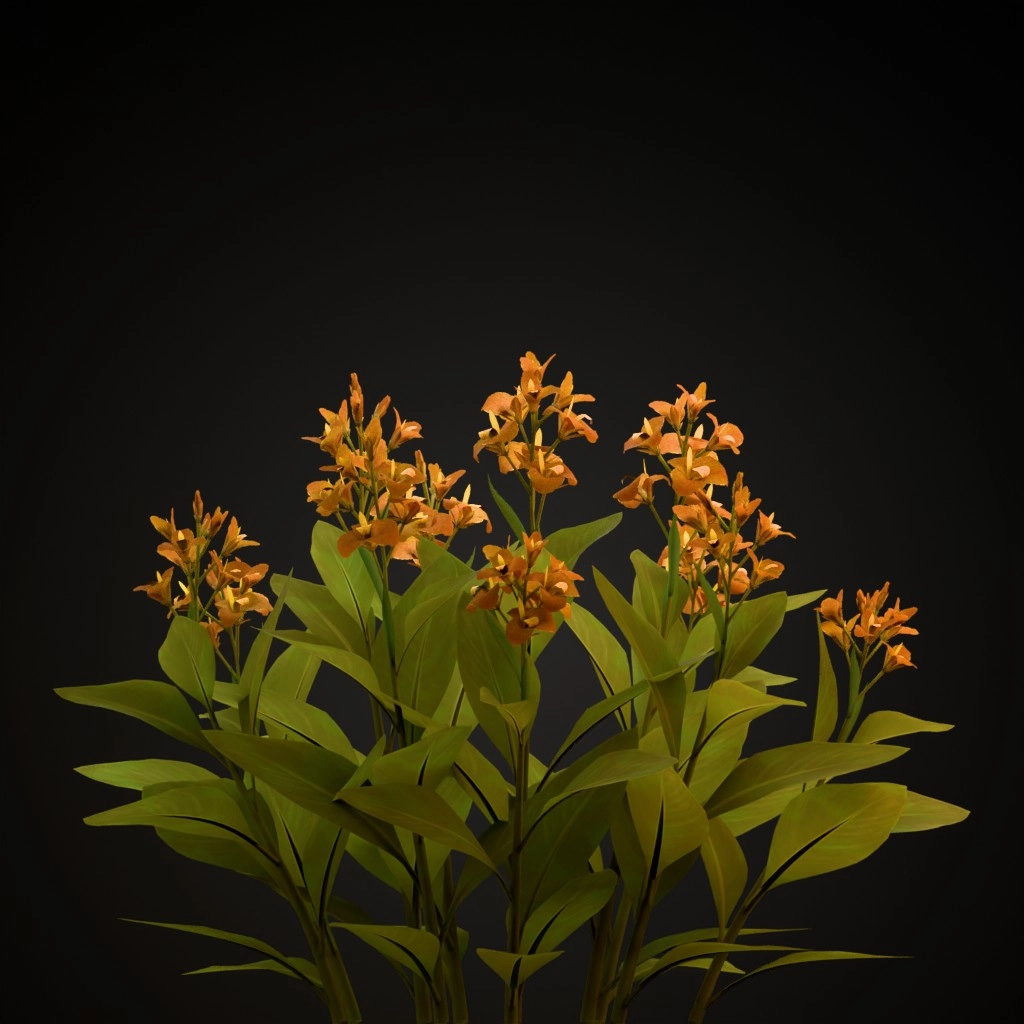 Orange Canna Lily