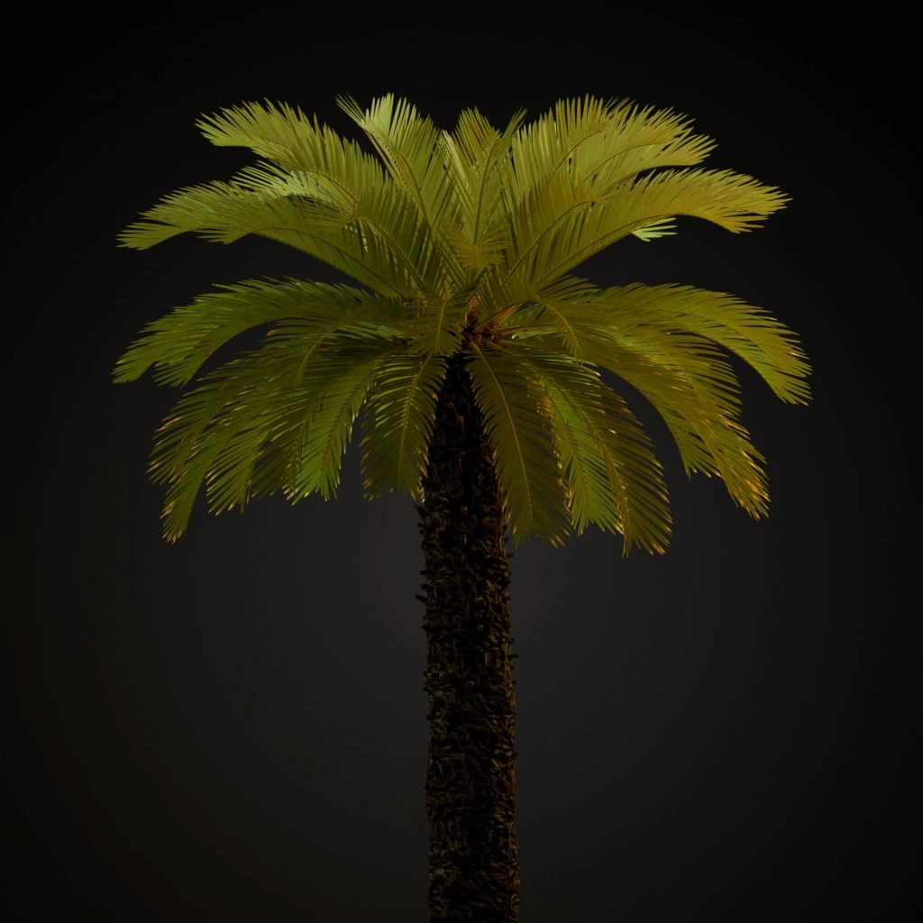 Sago Palm V2